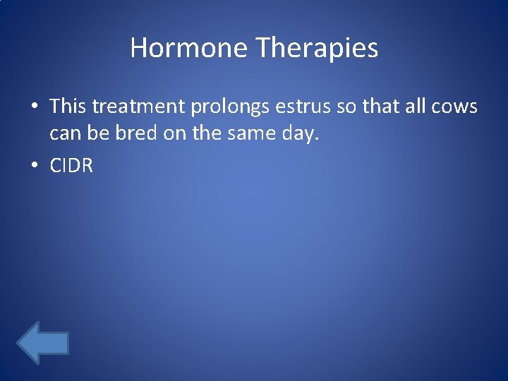 Hormone Therapies • This treatment prolongs estrus so that all cows can be bred