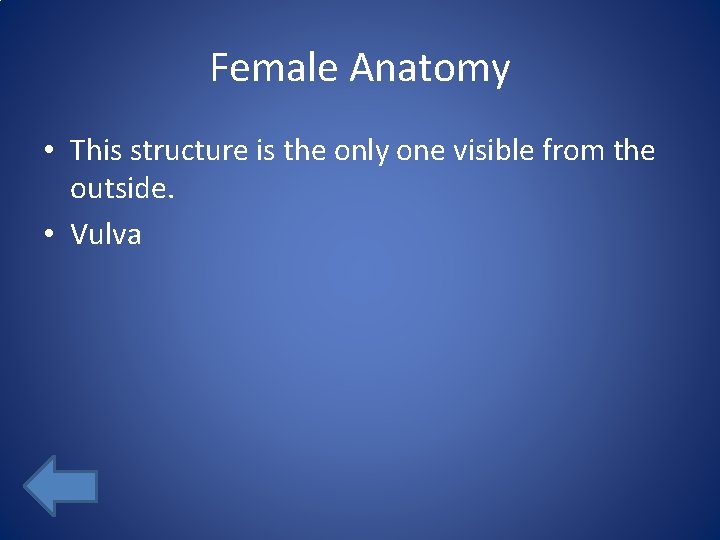 Female Anatomy • This structure is the only one visible from the outside. •