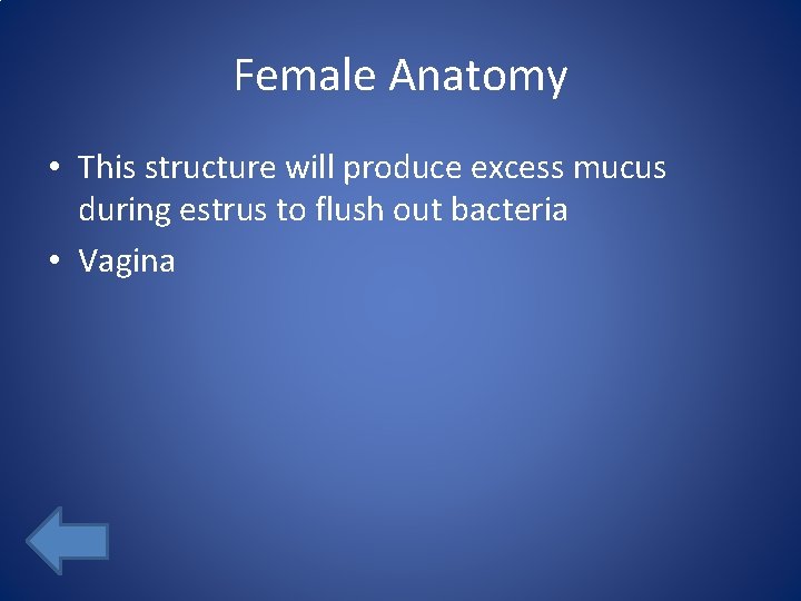 Female Anatomy • This structure will produce excess mucus during estrus to flush out
