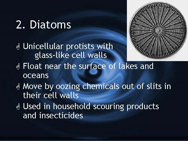 2. Diatoms G Unicellular protists with glass-like cell walls G Float near the surface