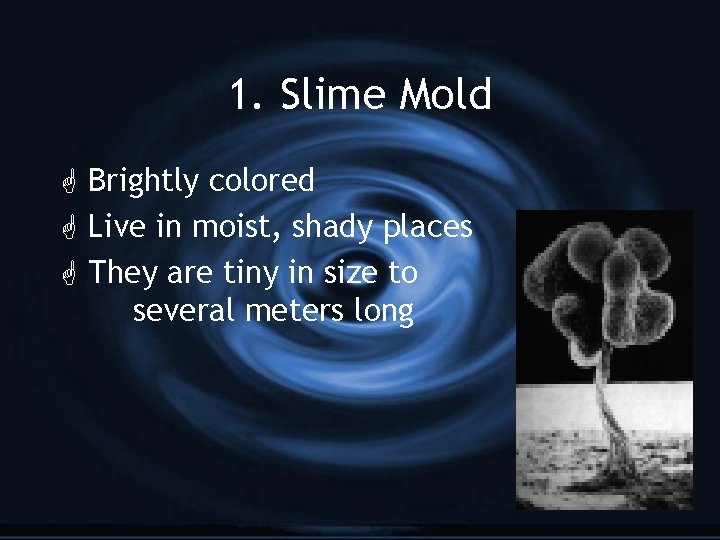 1. Slime Mold G Brightly colored G Live in moist, shady places G They