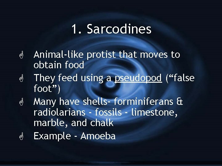 1. Sarcodines Animal-like protist that moves to obtain food G They feed using a