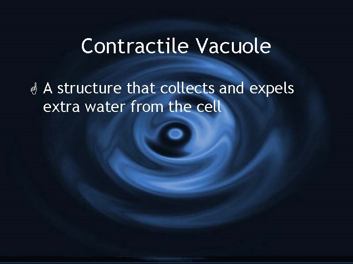 Contractile Vacuole G A structure that collects and expels extra water from the cell