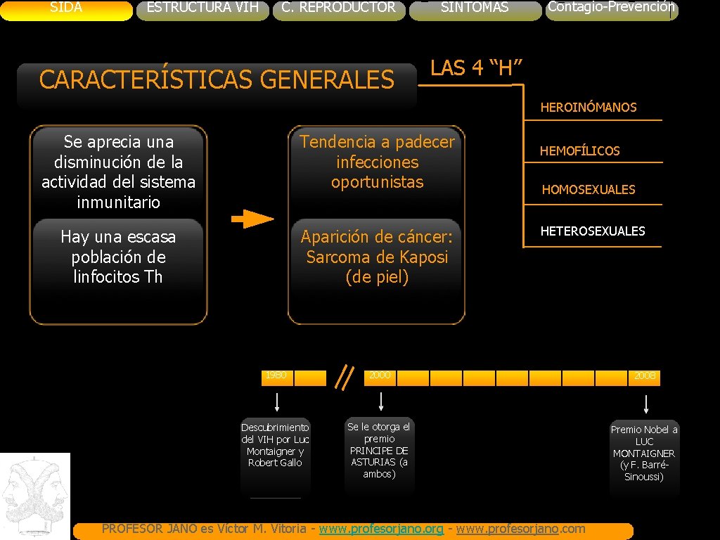 SIDA ESTRUCTURA VIH C. REPRODUCTOR CARACTERÍSTICAS GENERALES SINTOMAS Contagio-Prevención LAS 4 “H” HEROINÓMANOS Se