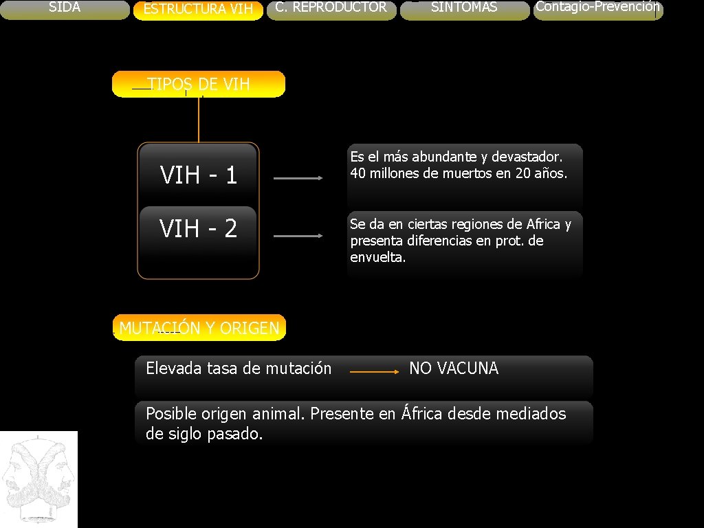 SIDA ESTRUCTURA VIH C. REPRODUCTOR SINTOMAS Contagio-Prevención TIPOS DE VIH - 1 VIH -