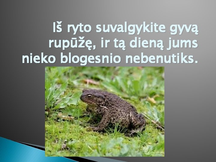 Iš ryto suvalgykite gyvą rupūžę, ir tą dieną jums nieko blogesnio nebenutiks. 