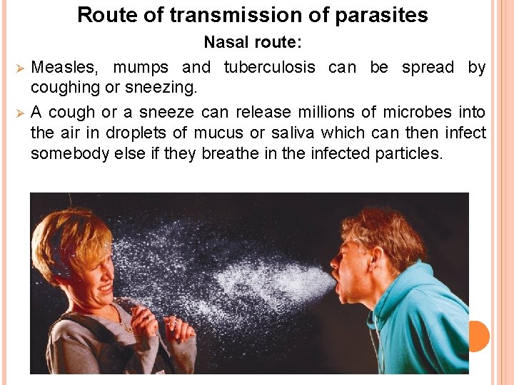 Route of transmission of parasites Ø Ø Nasal route: Measles, mumps and tuberculosis can Route of transmission of parasites Ø Ø Nasal route: Measles, mumps and tuberculosis can