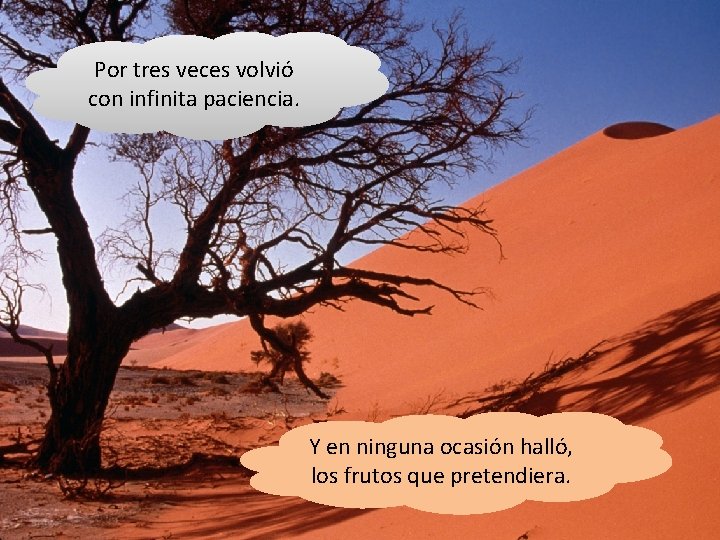 Por tres veces volvió con infinita paciencia. Y en ninguna ocasión halló, los frutos