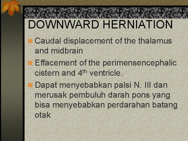 DOWNWARD HERNIATION n Caudal displacement of the thalamus and midbrain n Effacement of the