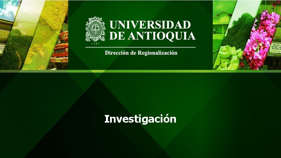 Investigación 