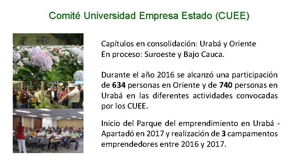 Comité Universidad Empresa Estado (CUEE) Capítulos en consolidación: Urabá y Oriente En proceso: Suroeste