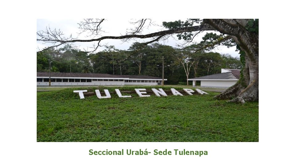 Seccional Urabá- Sede Tulenapa 