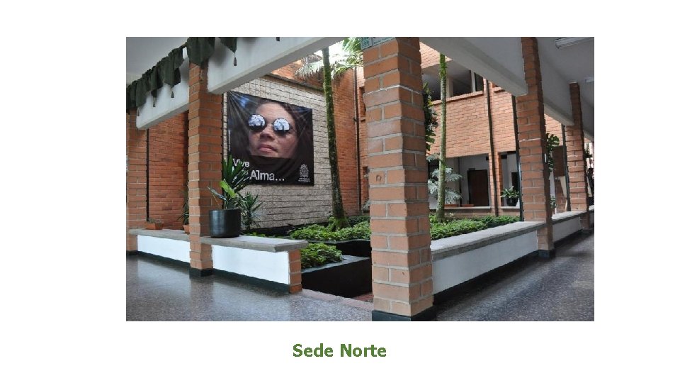 Sede Norte 