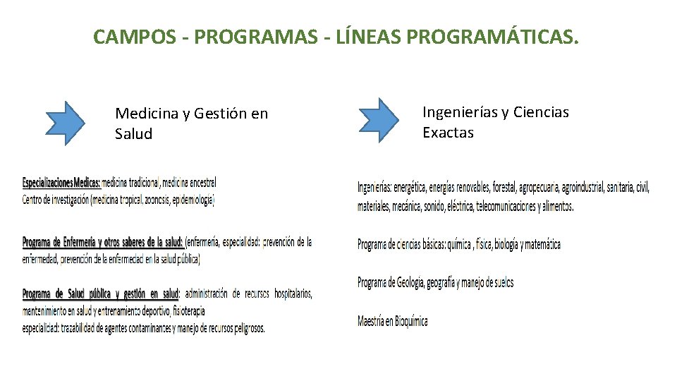 CAMPOS - PROGRAMAS - LÍNEAS PROGRAMÁTICAS. Medicina y Gestión en Salud Ingenierías y Ciencias