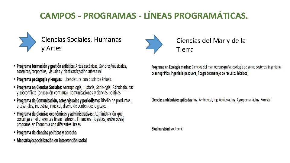 CAMPOS - PROGRAMAS - LÍNEAS PROGRAMÁTICAS. Ciencias Sociales, Humanas y Artes Ciencias del Mar