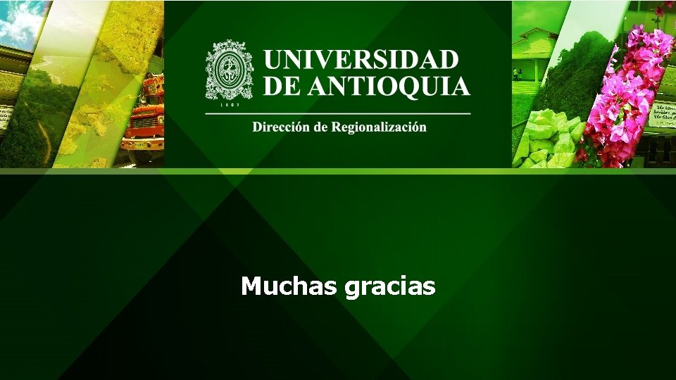 Muchas gracias 