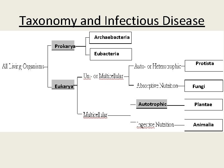 Taxonomy and Infectious Disease Archaebacteria Prokarya Eubacteria Protista Eukarya Fungi Autotrophic Plantae Animalia 