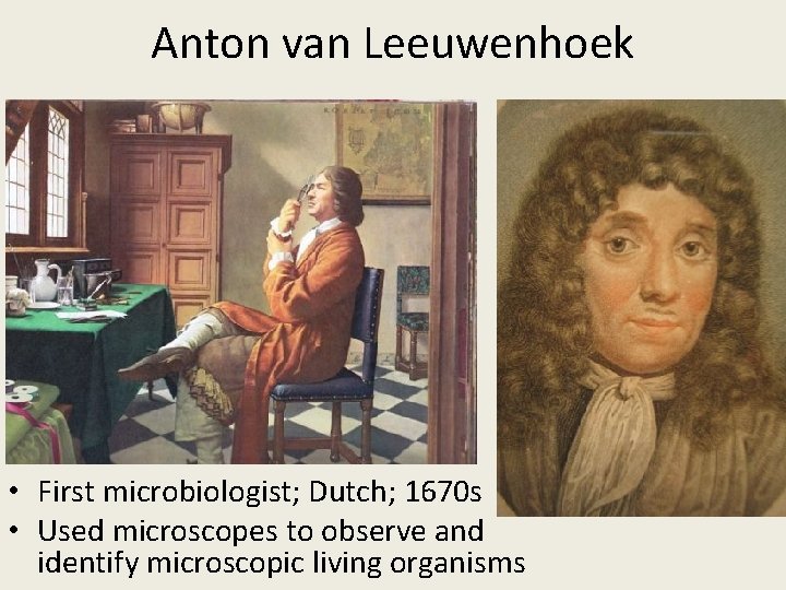 Anton van Leeuwenhoek • First microbiologist; Dutch; 1670 s • Used microscopes to observe