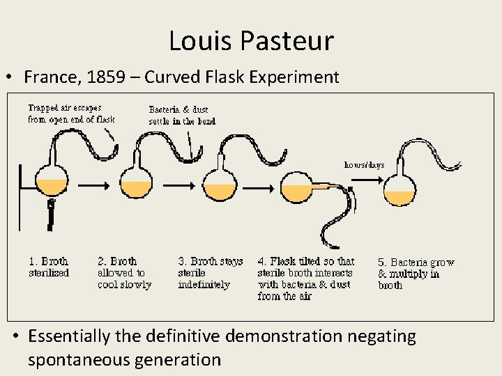 Louis Pasteur • France, 1859 – Curved Flask Experiment • Essentially the definitive demonstration