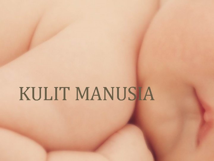 KULIT MANUSIA 