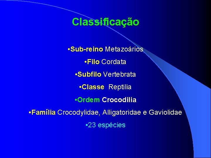 Classificação • Sub-reino Metazoários • Filo Cordata • Subfilo Vertebrata • Classe Reptilia •