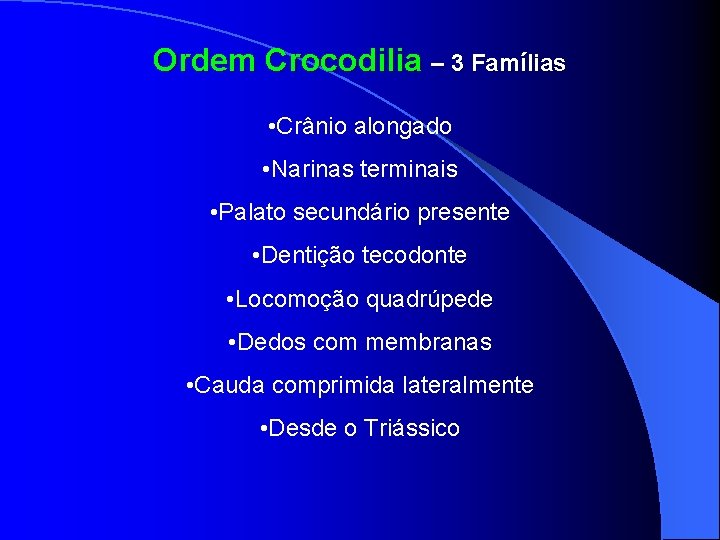 Ordem Crocodilia – 3 Famílias • Crânio alongado • Narinas terminais • Palato secundário