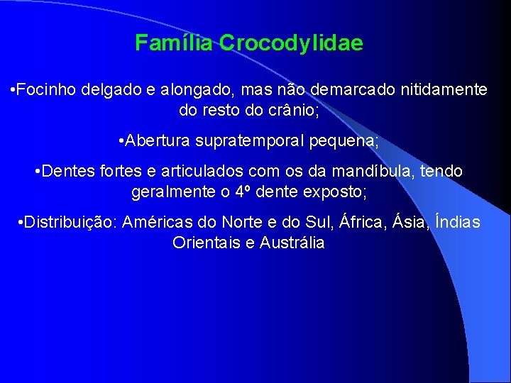 Família Crocodylidae • Focinho delgado e alongado, mas não demarcado nitidamente do resto do