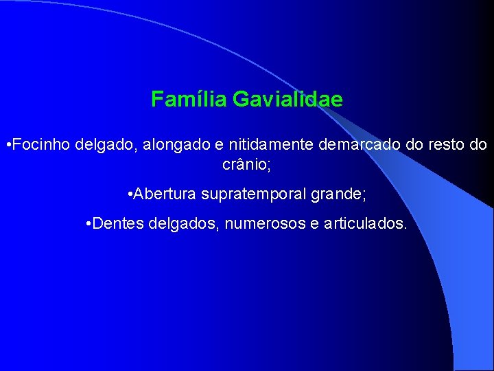 Família Gavialidae • Focinho delgado, alongado e nitidamente demarcado do resto do crânio; •