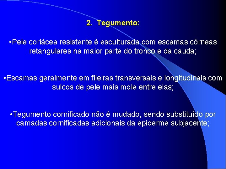 2. Tegumento: • Pele coriácea resistente é esculturada com escamas córneas retangulares na maior