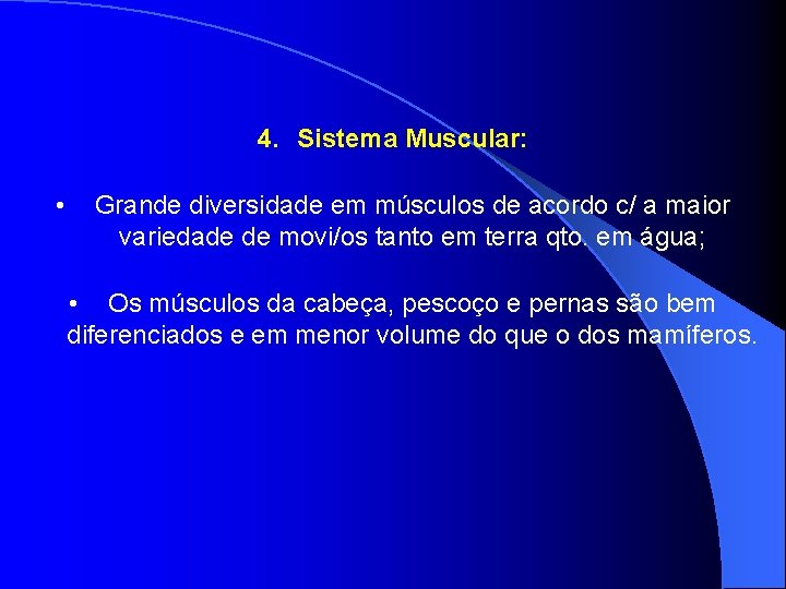 4. Sistema Muscular: • Grande diversidade em músculos de acordo c/ a maior variedade