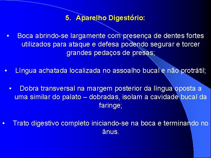 5. Aparelho Digestório: • • Língua achatada localizada no assoalho bucal e não protrátil;