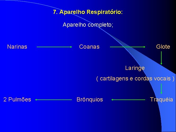 7. Aparelho Respiratório: Aparelho completo; Narinas Coanas Glote Laringe ( cartilagens e cordas vocais