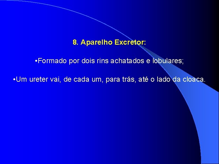 8. Aparelho Excretor: • Formado por dois rins achatados e lobulares; • Um ureter