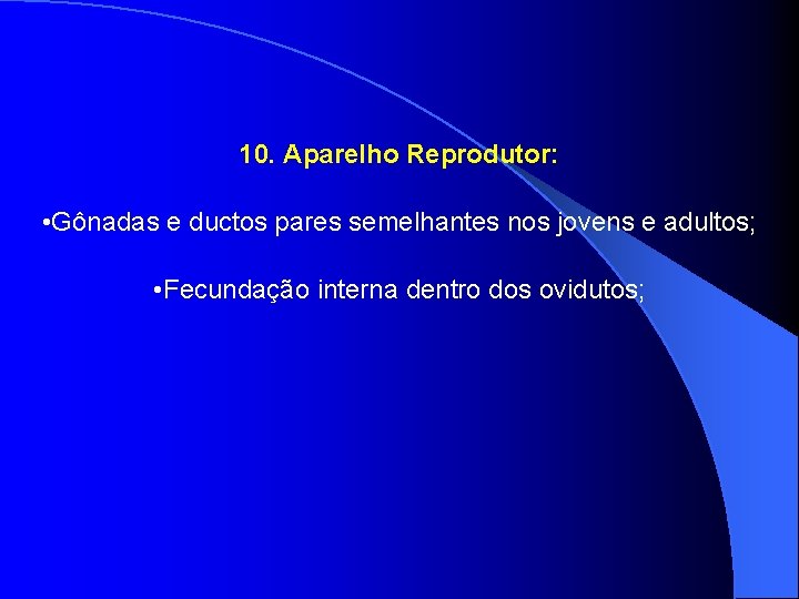 10. Aparelho Reprodutor: • Gônadas e ductos pares semelhantes nos jovens e adultos; •