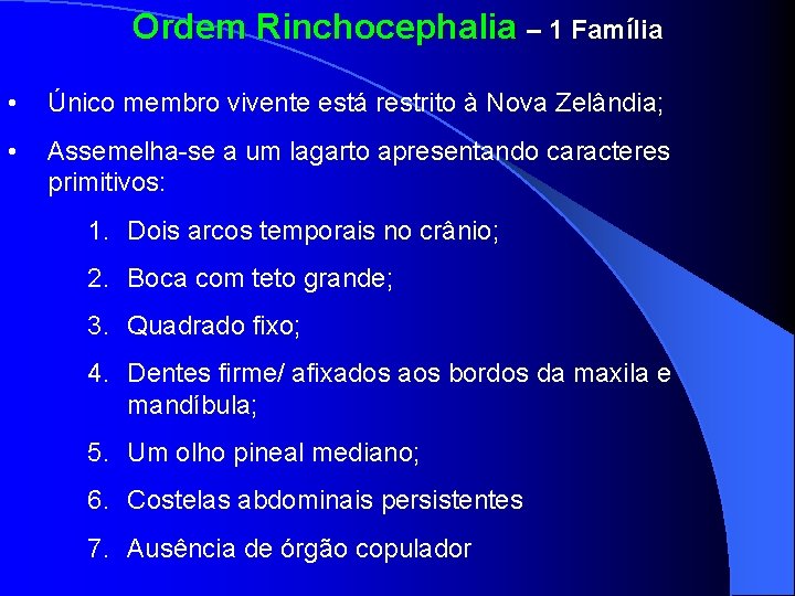 Ordem Rinchocephalia – 1 Família • Único membro vivente está restrito à Nova Zelândia;