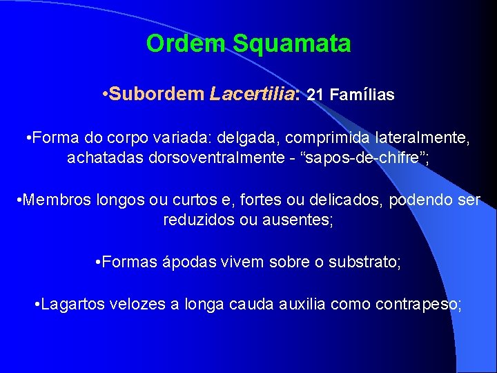Ordem Squamata • Subordem Lacertilia: 21 Famílias • Forma do corpo variada: delgada, comprimida