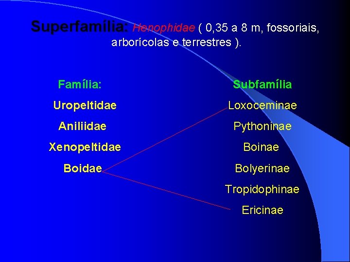 Superfamília: Henophidae ( 0, 35 a 8 m, fossoriais, arborícolas e terrestres ). Família: