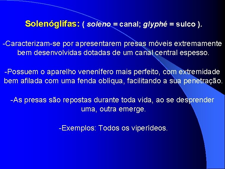 Solenóglifas: ( soleno = canal; glyphé = sulco ). -Caracterizam-se por apresentarem presas móveis