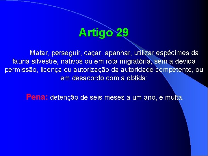 Artigo 29 Matar, perseguir, caçar, apanhar, utilizar espécimes da fauna silvestre, nativos ou em