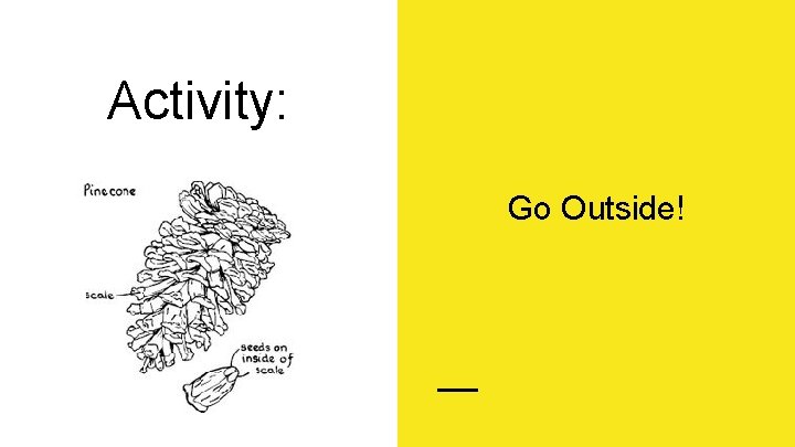 Activity: Go Outside! 