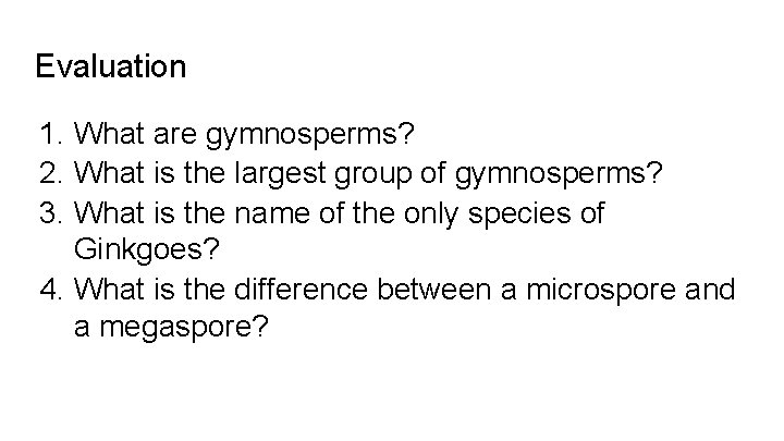 Evaluation 1. What are gymnosperms? 2. What is the largest group of gymnosperms? 3.