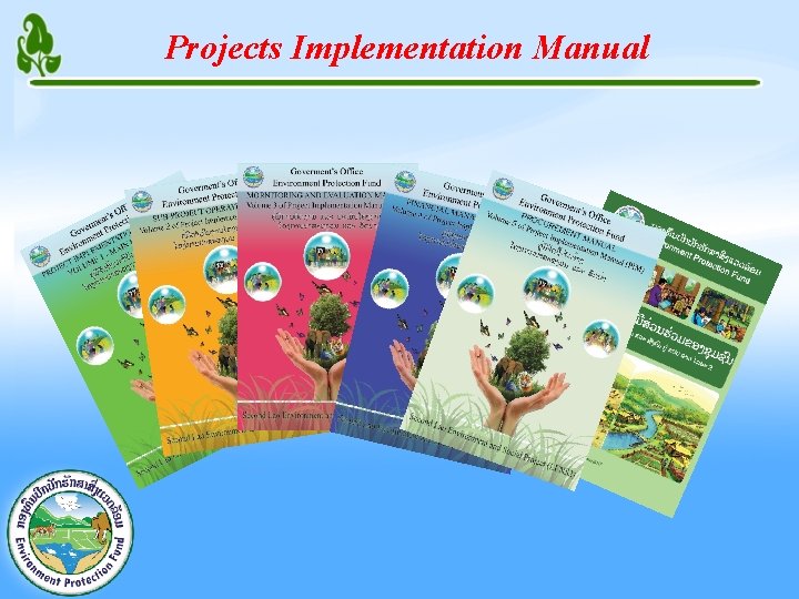 Projects Implementation Manual 