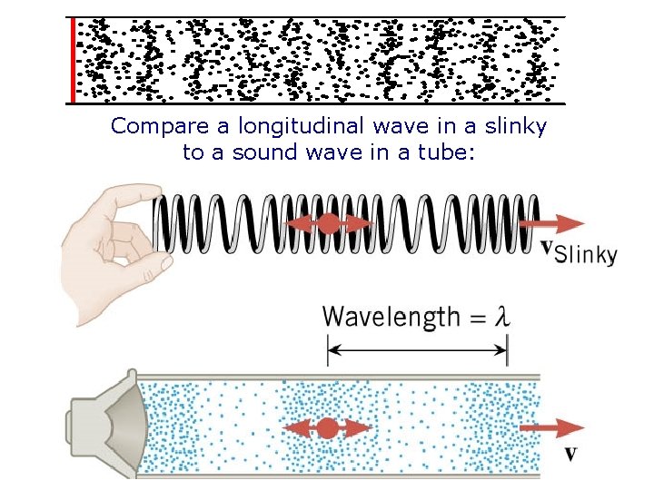Compare a longitudinal wave in a slinky to a sound wave in a tube: