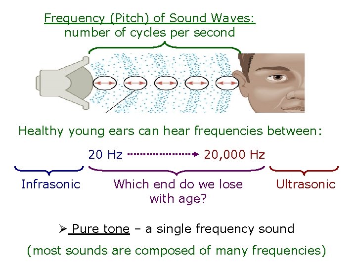 Frequency (Pitch) of Sound Waves: number of cycles per second Healthy young ears can