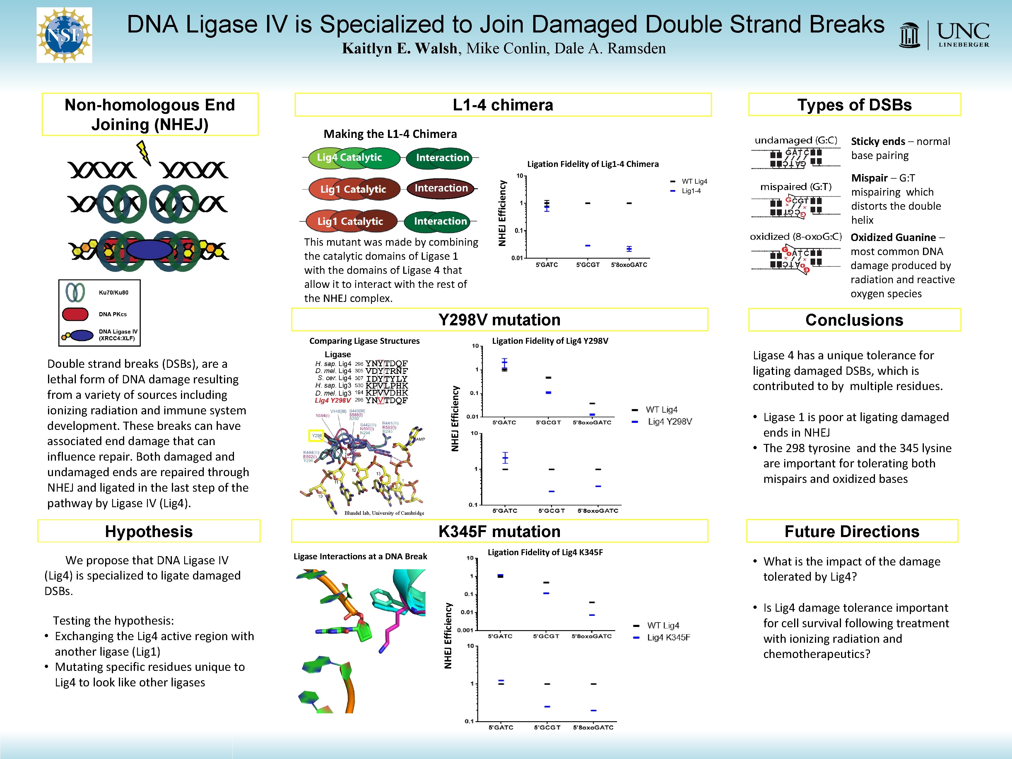 DNA Ligase IV is Specialized to Join Damaged Double Strand Breaks Kaitlyn E. Walsh, DNA Ligase IV is Specialized to Join Damaged Double Strand Breaks Kaitlyn E. Walsh,