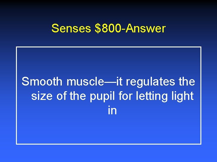 Senses $800 -Answer Smooth muscle—it regulates the size of the pupil for letting light