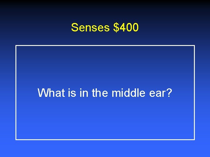 Senses $400 What is in the middle ear? 