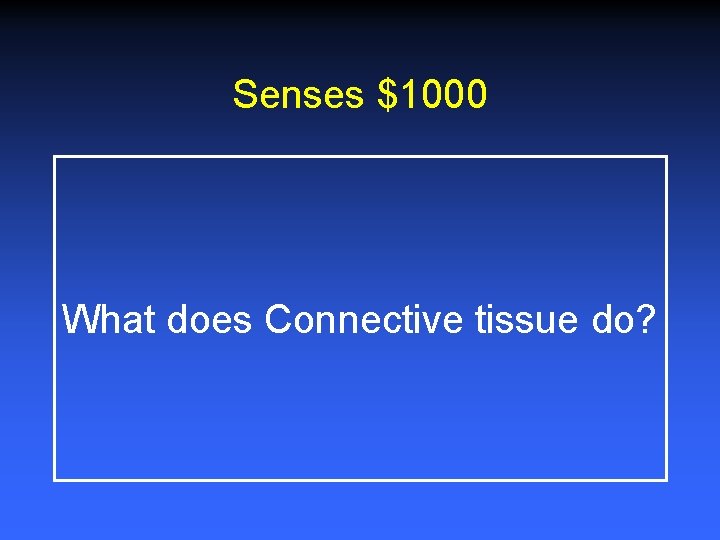 Senses $1000 What does Connective tissue do? 