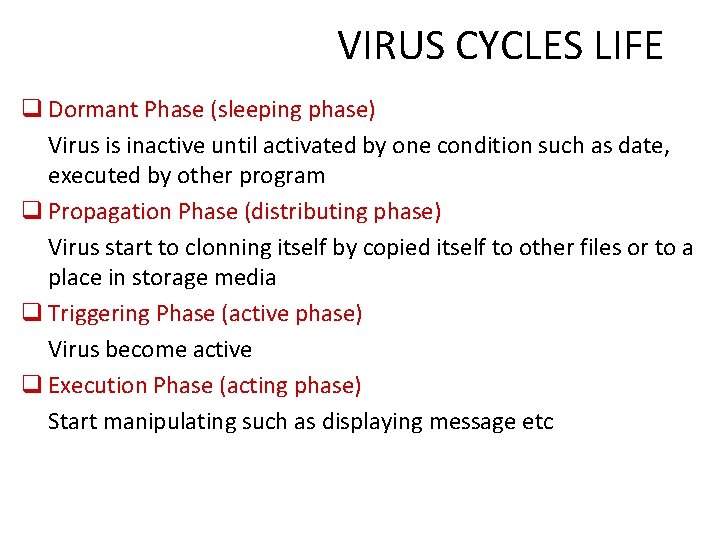 VIRUS CYCLES LIFE q Dormant Phase (sleeping phase) Virus is inactive until activated by