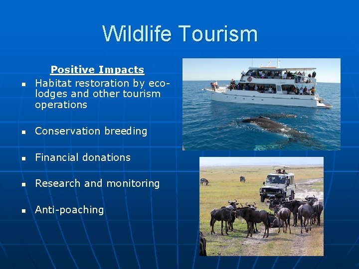 Wildlife Tourism n Positive Impacts Habitat restoration by ecolodges and other tourism operations n